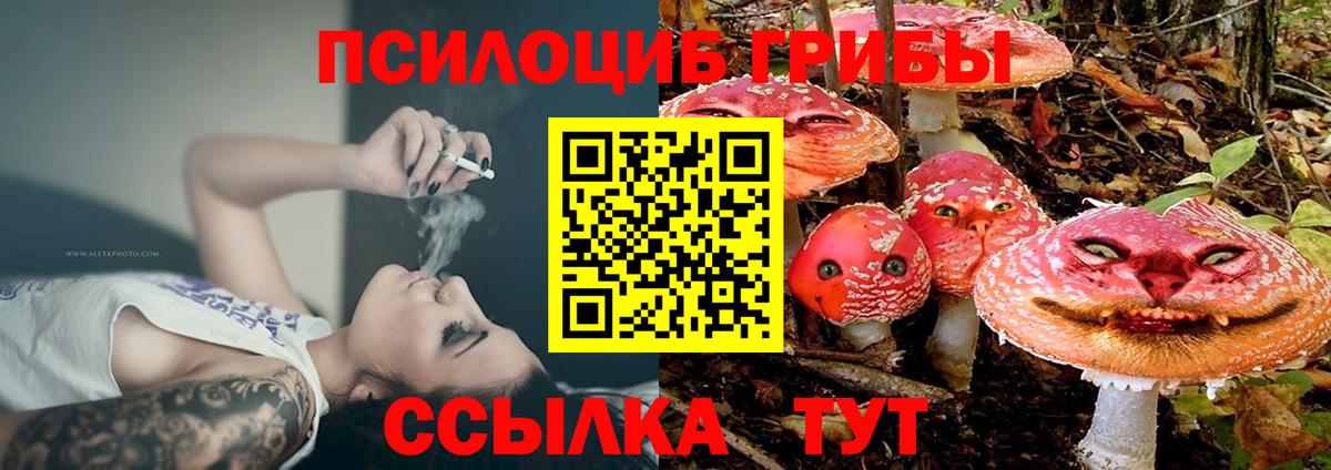 Владивосток  Галлюциногенные грибы мухоморы  Вход с VPN  купить закладку  Галлюциногенные грибы Psilocybine cubensis 